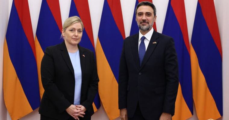 Արամ Վարդևանյանը Շվեյցարիայի դեսպանին է ներկայացրել Հայաստանի ներքաղաքական իրավիճակը