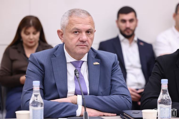 Մամիկոն Ասլանյանն ընտրվել է հանձնաժողովի նախագահի տեղակալ