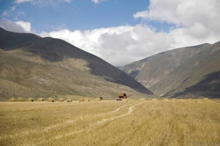 Տնտեսական Գյուղնշանակության հողերը միավորելու ծրագրով պետբյուջեից 61 մլն դրամ է ծախսվել՝ զրոյական արդյունքի դիմաց. «Հետք» 2026-09-04 20:54 634